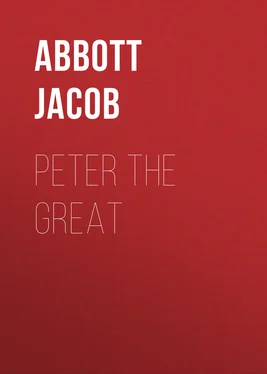 Jacob Abbott Peter the Great обложка книги