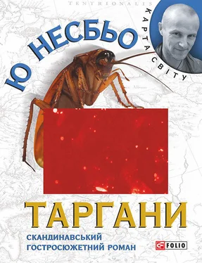 Ю Несбьо Таргани обложка книги