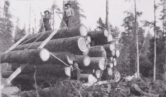Fig 11 Decking Logs on Skidway For this the main road is especially - фото 6