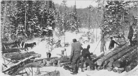 Fig 12 Loading a Sled from a Skidway Fig 13 A Load of Logs Flathead - фото 7