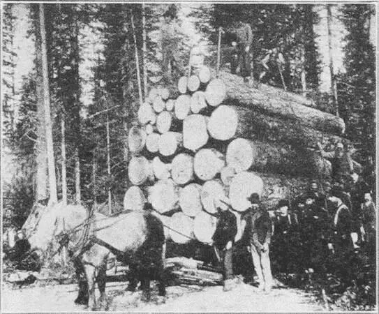 Fig 13 A Load of Logs Flathead County Montana When all is ready the sleigh - фото 8