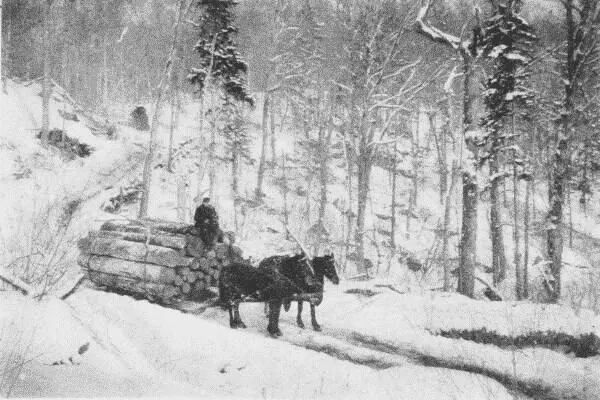 Fig 15 The Sleigh Haul Fig 16 Sacking the Rear Now comes the drive an - фото 9
