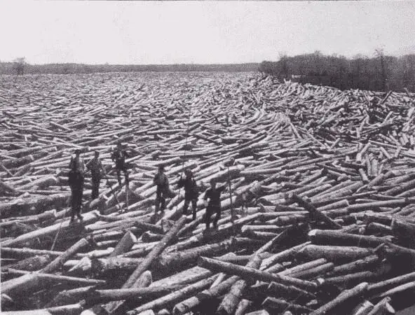 Fig 21 Logs in Boom Glens Falls New York In case such efforts are - фото 11