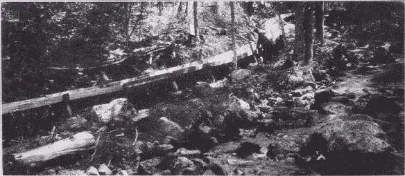 Fig 23 Six Mile Flume Adirondack Mountains New York Some kinds of wood are - фото 12
