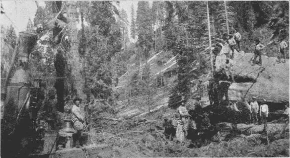 Fig 26 Hauling Big Logs by Donkey Engine To work the saw power is supplied - фото 14