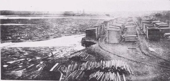 Fig 47 Wood is carefully and regularly piled in the seasoningyard The - фото 31