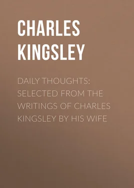 Charles Kingsley Daily Thoughts: selected from the writings of Charles Kingsley by his wife обложка книги
