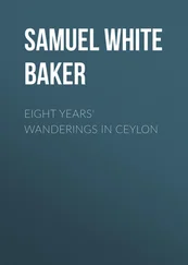 Samuel White Baker - Eight Years' Wanderings in Ceylon