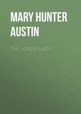 Mary Austin The Lovely Lady обложка книги