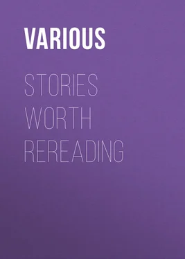 Various Stories Worth Rereading обложка книги