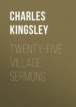 Charles Kingsley Twenty-Five Village Sermons обложка книги