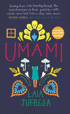 Laia Jufresa Umami обложка книги