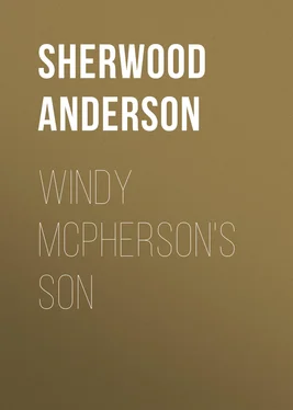 Sherwood Anderson Windy McPherson's Son обложка книги