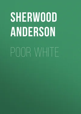 Sherwood Anderson Poor White обложка книги