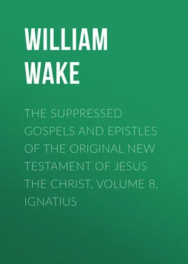 William Wake The suppressed Gospels and Epistles of the original New Testament of Jesus the Christ, Volume 8, Ignatius обложка книги