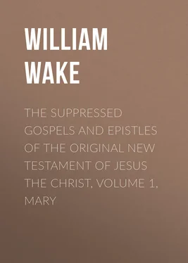 William Wake The suppressed Gospels and Epistles of the original New Testament of Jesus the Christ, Volume 1, Mary обложка книги