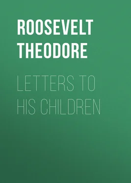 Theodore Roosevelt Letters to His Children обложка книги