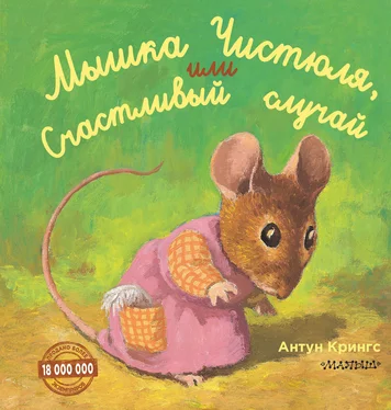 Антун Крингс Мышка Чистюля, или Счастливый случай обложка книги