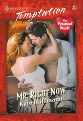 Kate Hoffmann - Mr. Right Now