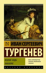 Иван Тургенев - Вешние воды. Накануне (сборник)