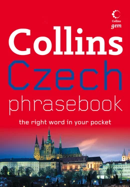 Collins Dictionaries Collins Gem Czech Phrasebook and Dictionary