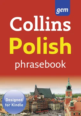 Collins Dictionaries Collins Gem Polish Phrasebook and Dictionary обложка книги