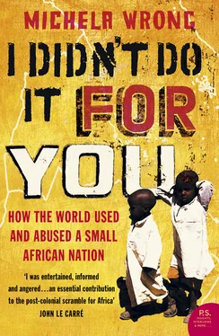 Michela Wrong I Didn’t Do It For You: How the World Used and Abused a Small African Nation обложка книги