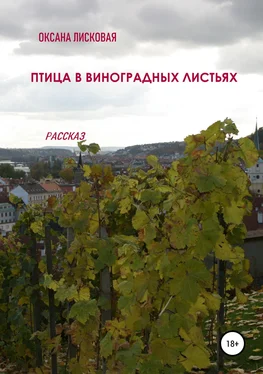 Оксана Лисковая Птица в виноградных листьях обложка книги
