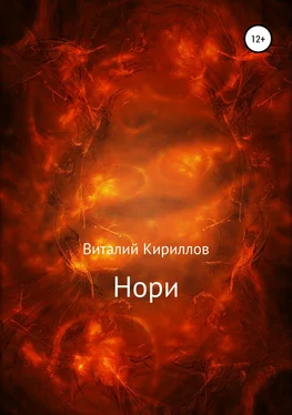 Виталий Кириллов Нори обложка книги