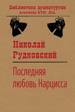 Николай Рудковский Последняя любовь Нарцисса обложка книги