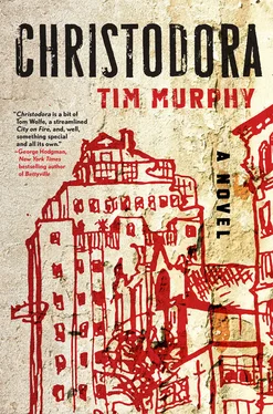 Tim Murphy Christodora обложка книги