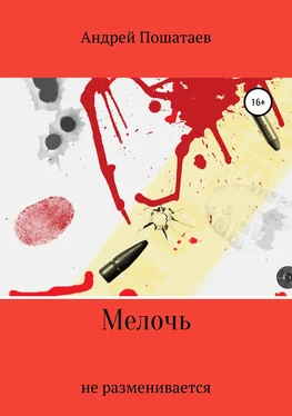 Андрей Пошатаев Мелочь обложка книги