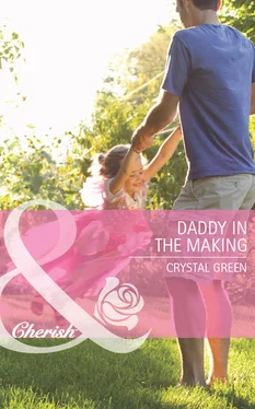 Crystal Green Daddy in the Making обложка книги