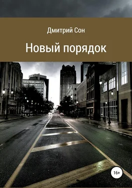 Дмитрий Сон Новый порядок обложка книги
