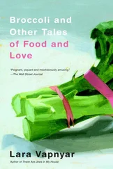 Lara Vapnyar - Broccoli and Other Tales of Food and Love