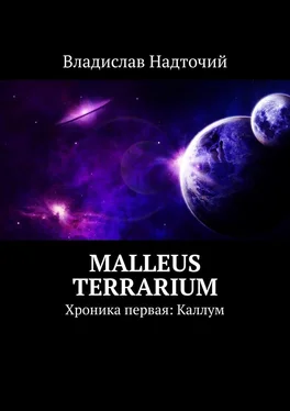 Владислав Надточий Malleus Terrarium. Хроника первая: Каллум обложка книги