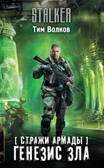Тим Волков - Стражи Армады. Генезис зла