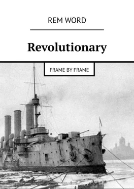 Rem Word Revolutionary. Frame by frame обложка книги