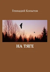 Геннадий Копытов - На тяге