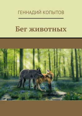 Геннадий Копытов Бег животных обложка книги