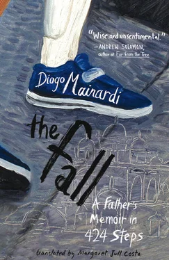 Diogo Mainardi The Fall: A Father's Memoir in 424 Steps обложка книги