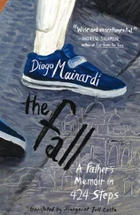 Diogo Mainardi - The Fall - A Father's Memoir in 424 Steps