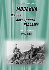Павел Шаров - Мозаика жизни заурядного человека. Часть первая. Разбег