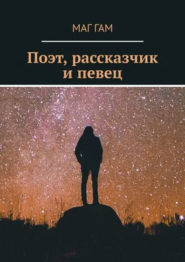 Маг Гам Поэт, рассказчик и певец обложка книги