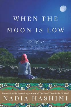 Nadia Hashimi When the Moon Is Low обложка книги