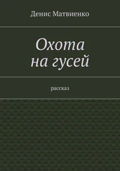 Денис Матвиенко - Охота на гусей. Рассказ