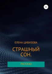 Елена Цибизова - Страшный сон