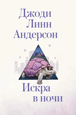 Джоди Линн Андерсон Искра в ночи обложка книги