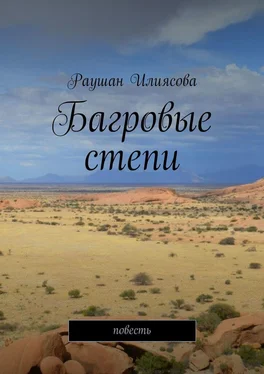 Раушан Илиясова Багровые степи. Повесть обложка книги