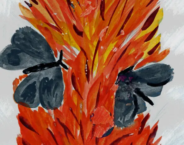 The moths Foxes let out a rumour that someone who encroaches on their honour - фото 12